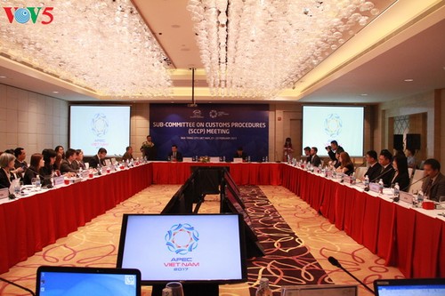 APEC officials seek ways to ensure trade security  - ảnh 1